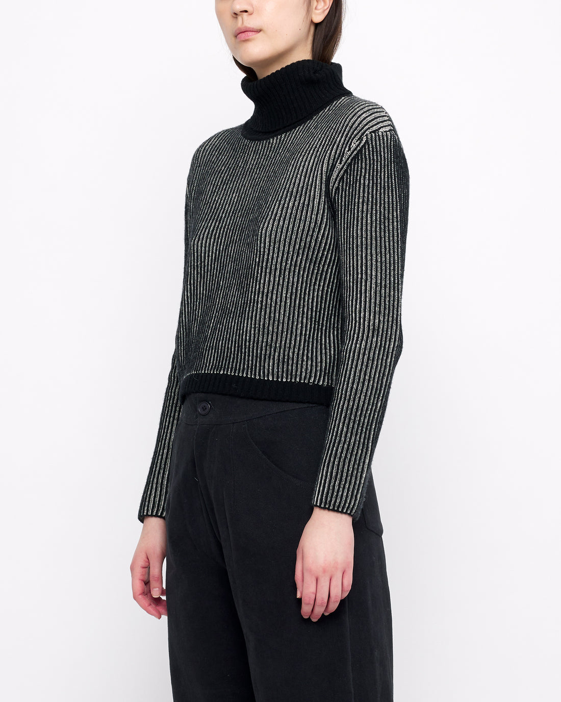 Striped Cropped Turtleneck - Black Stripes