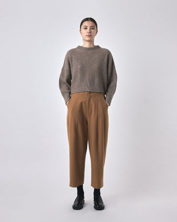 Wool Pleated Trouser - FW23 - Tan
